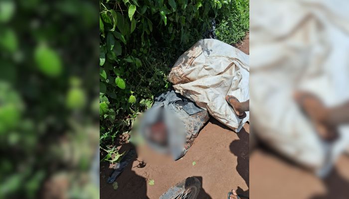 Corpo com sinais de violência é encontrado em área de descarte irregular de lixo em Belém