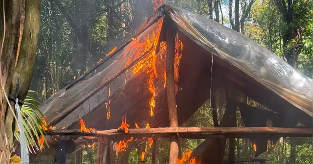 A Polícia Federal destruiu 63.915 pés de maconha durante a Operação Carcará
