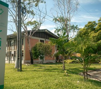 Imagem - NAEA abre seleção para pesquisadores com bolsas de R$ 13 mil; saiba mais
