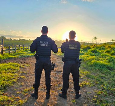 Imagem - PF investiga grupo suspeito de causar R$ 469 milhões em danos ambientais no Pará
