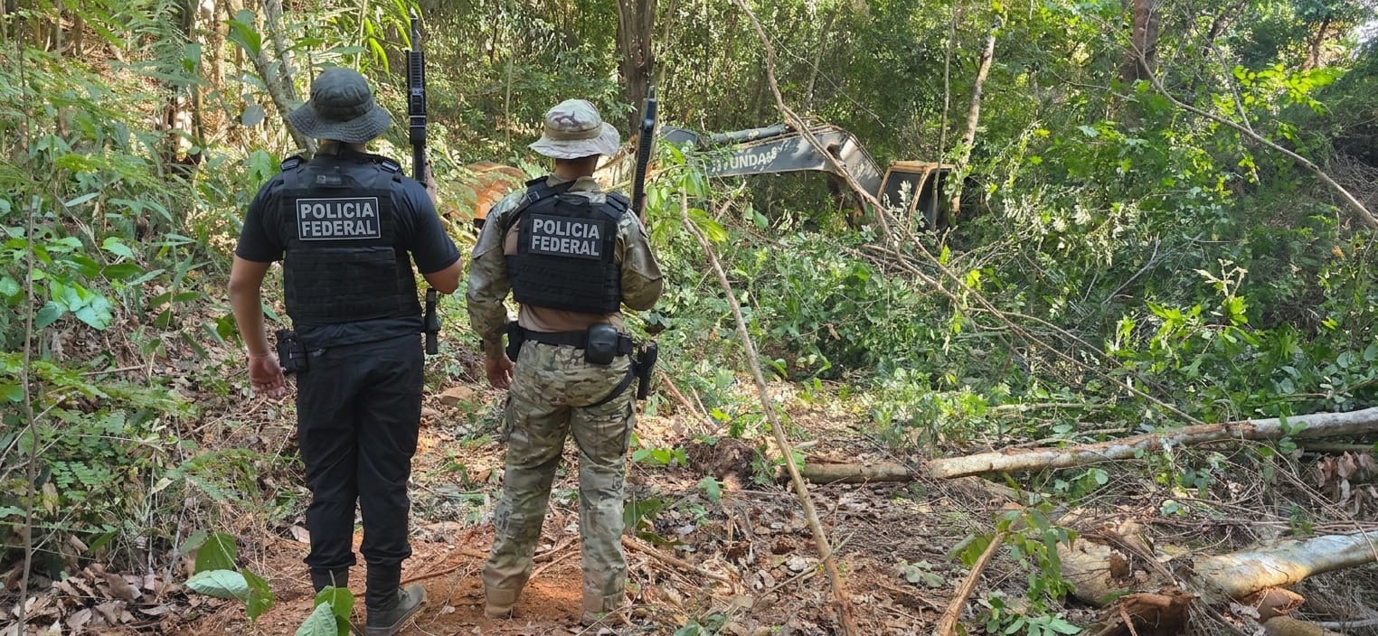 PF desativa três frentes de garimpo ilegal durante operação no Pará