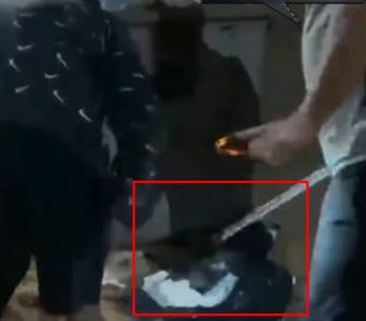 Imagem - Moradores salvam cachorro abandonado dentro de sacos de lixo amarrados no DF