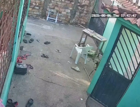 (O caso foi registrado, em tese, como crime de maus-tratos a animais com resultado morte, além de lesão corporal e exposição de pessoas a perigo.)