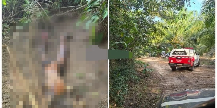 Restos mortais são achados em plantação de dendê no Pará