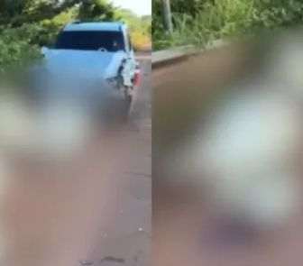 Imagem - Caminhonete colide com gado e deixa quatro animais mortos na PA-257