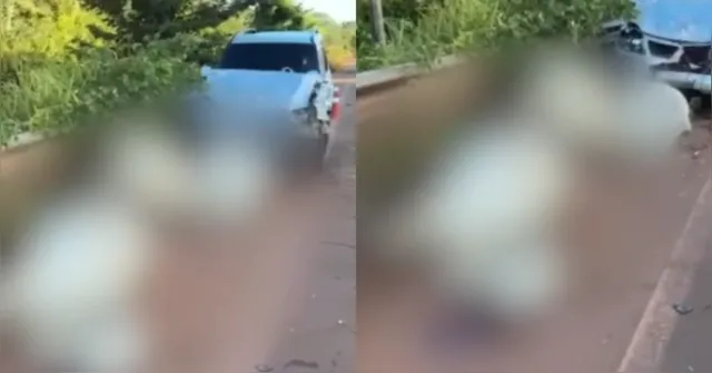 Com o impacto, os quatro bovinos morreram no local e o veículo sofreu danos na parte dianteira.

