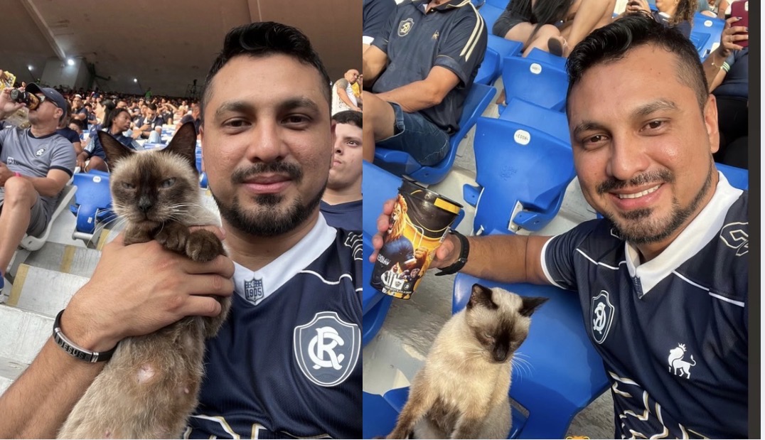 Gato no colo de torcedor do Leão chama atenção durante jogo entre Remo X Atlético-MG no Mangueirão