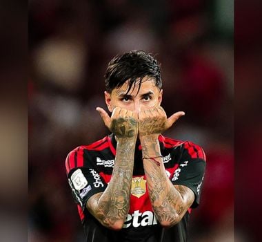 Imagem - Flamengo vence o Vitória no Maracanã e diminui distância para o líder Palmeiras