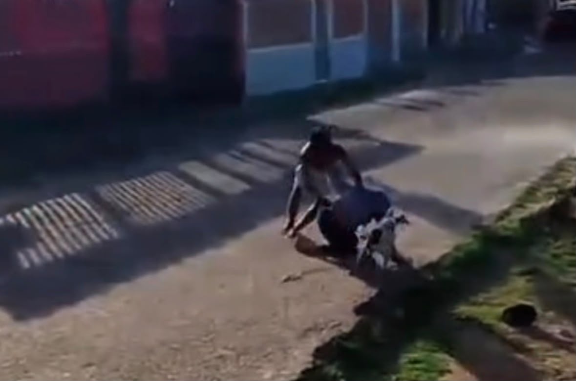 Idoso é agredido pelo próprio filho durante o Dia dos Pais em Outeiro, em Belém