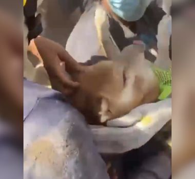 Imagem - Cachorro é resgatado com vida após terremoto na Colômbia