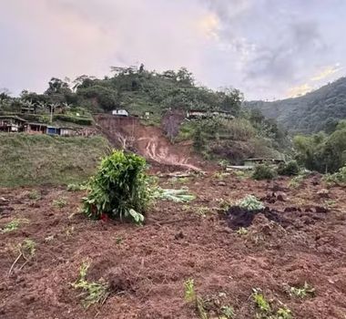 Imagem - Terremoto ameaça exportações de café da Colômbia