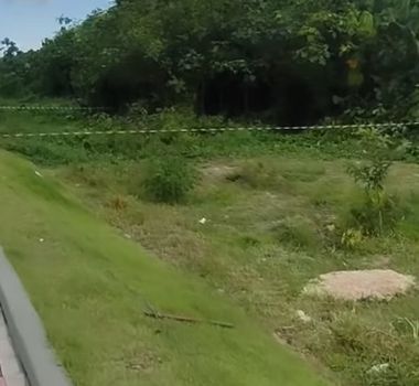 Imagem - Suposta invasão é registrada na região do Utinga, em Belém