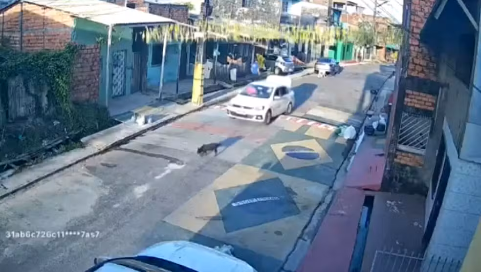 Momento do atropelamento