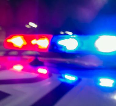 Imagem - Homem é preso em flagrante suspeito de abuso sexual contra cadela em Outeiro