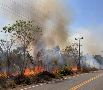 Imagem - Queimadas já provocaram 721 ocorrências na rede elétrica em 2026