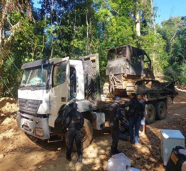 Imagem - No Pará, PF cumpre mandados em terra indígena contra desmatamento e exploração de madeira
