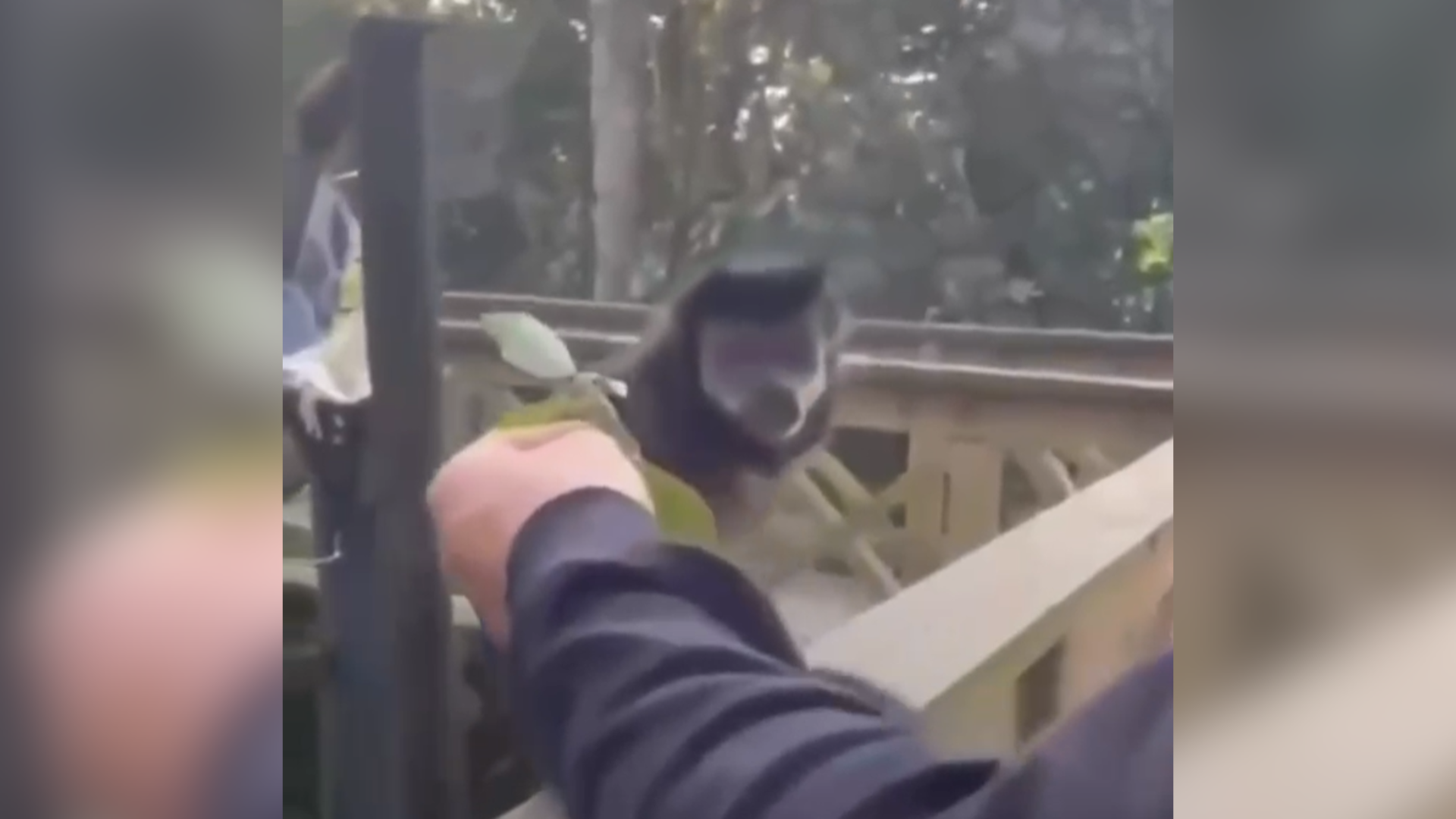 Caso ocorreu em Maracajá; vídeo da agressão foi publicado nas redes sociais e imagens de câmeras de segurança também serão analisadas