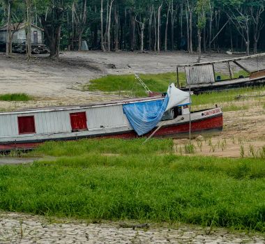Imagem - COP17 da Desertificação começa na Mongólia com foco em financiamento e regras para combate à seca