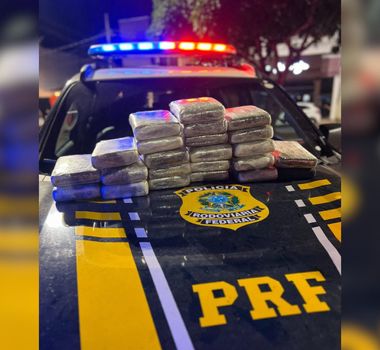Imagem - PRF apreende mais de 25kg de skunk em ônibus na BR-230, em Altamira