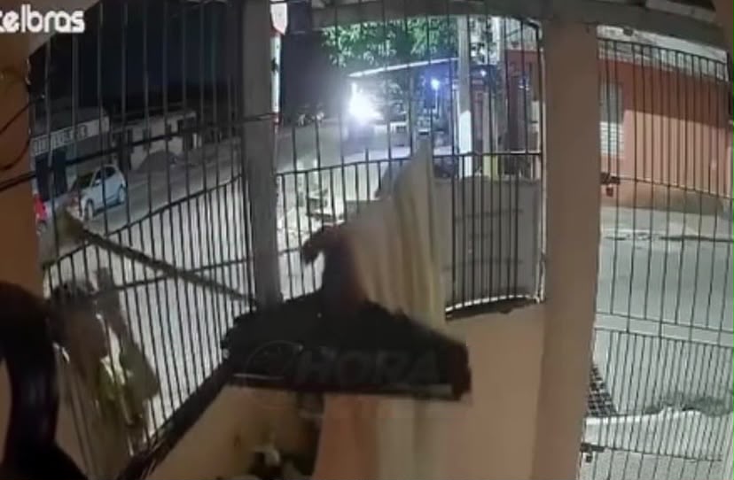 As imagens, registradas por volta das 4h49 da madrugada, mostram o suspeito se aproximando das grades do imóvel.