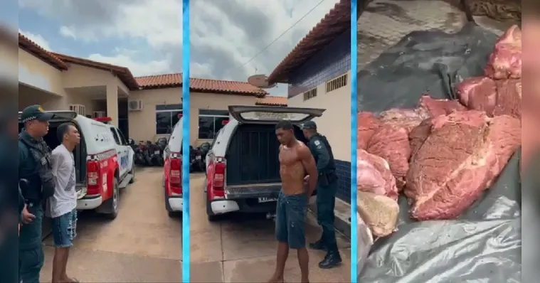 (O animal pertencia à Associação de Vaqueiros e Pecuaristas de Prainha e era utilizado como reprodutor.)