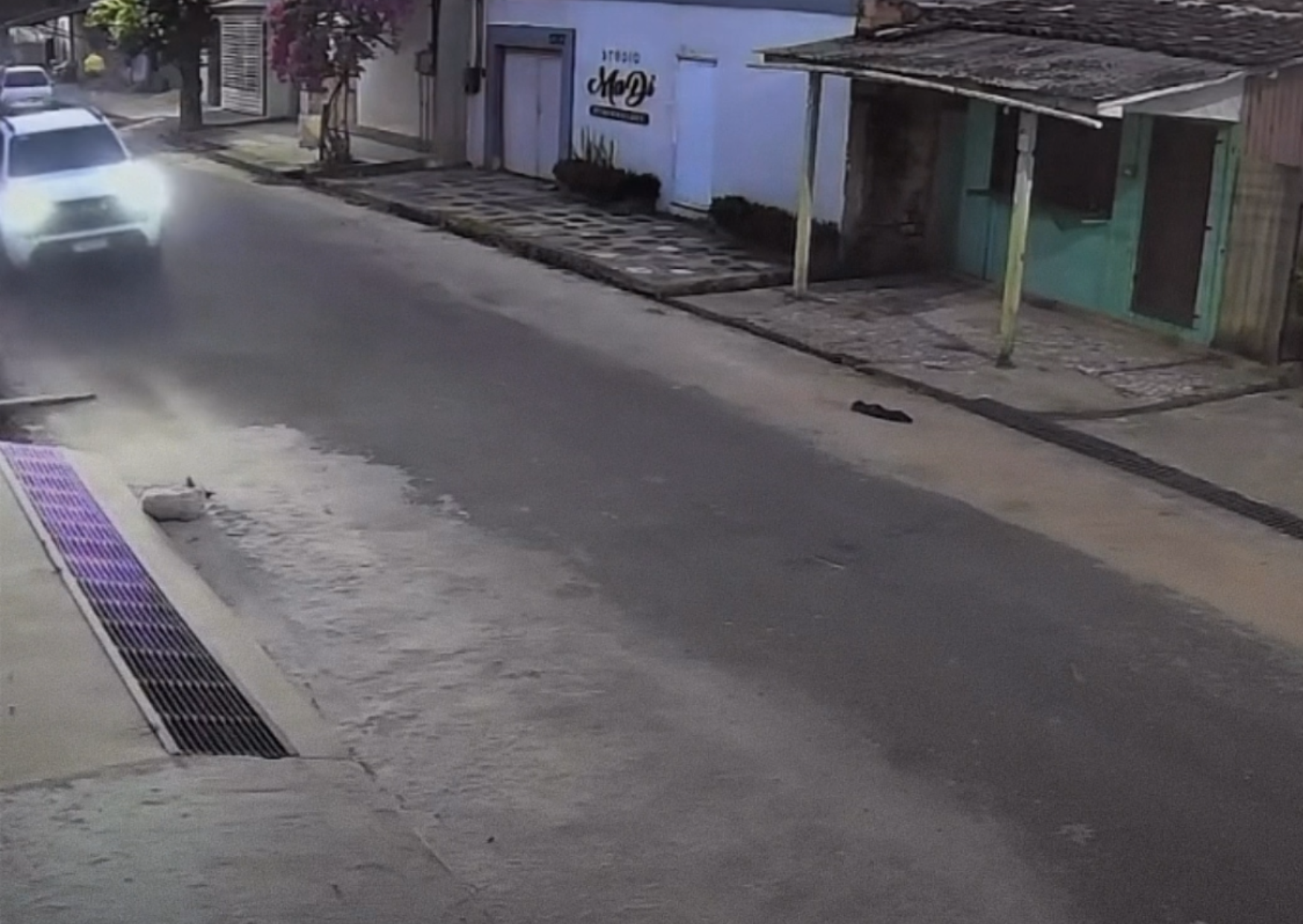 Polícia identifica e prende suspeito de atropelar cachorro em Abaetetuba