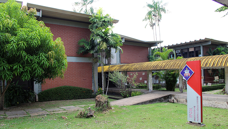  Instituto de Filosofia e Ciências Humanas da Universidade Federal do Pará (IFCH/UFPA).