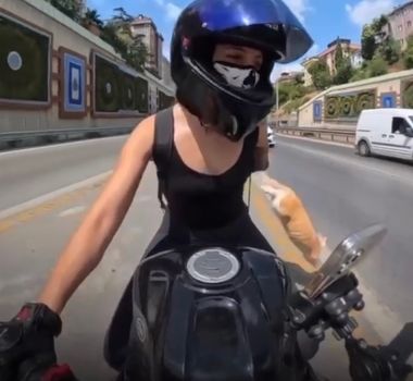 Imagem - Gato escapa de caixa durante viagem de moto e provoca desespero em dona; Veja