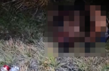 (O veículo saiu da pista e acabou parando em uma área de vegetação às margens da rodovia.)