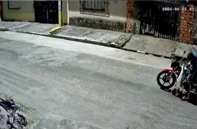 Suspeito deixou o local após abandonar 3 filhotes no meio da rua