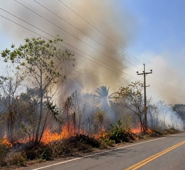 Imagem - Governo do Pará decreta alerta preventivo para enfrentar seca e queimadas
