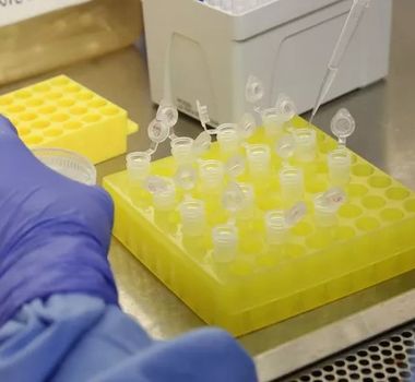 Imagem - Polícia Científica promove coleta de DNA para ajudar na identificação de desaparecidos no Pará