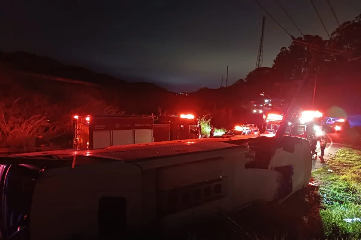 Falha mecânica faz ônibus perder o freio e tombar em área de mata na Zona Norte de São Paulo