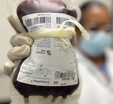Imagem - Novas regras para doação de sangue entram em vigor no Pará; veja o que muda