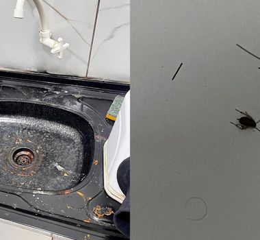 Imagem - Consultório odontológico é fechado em Cametá após fiscalização encontrar baratas e sujeira