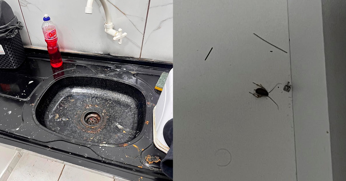 (Imagens registradas pela fiscalização mostram materiais e objetos que deveriam estar devidamente limpos e acondicionados, mas apresentavam sinais de falta de higienização.)