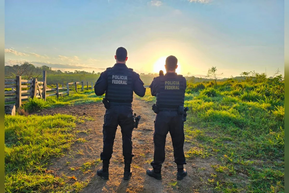 PF desarticula esquema de exploração clandestina de madeira em Rondônia