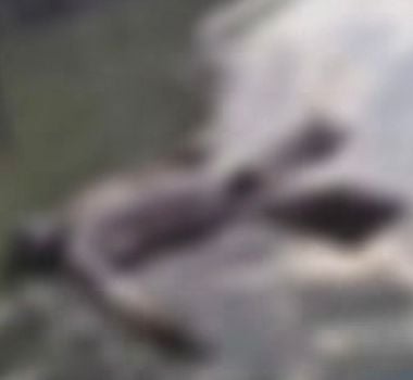 Imagem - Corpo é encontrado no Rio Maguary, em Ananindeua