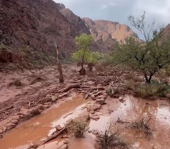 Imagem - Enchente no Grand Canyon deixa um morto e 15 desaparecidos nos EUA
