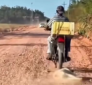 Imagem - Cachorro é arrastado por motocicleta na PA-151, em Breu Branco, no Pará