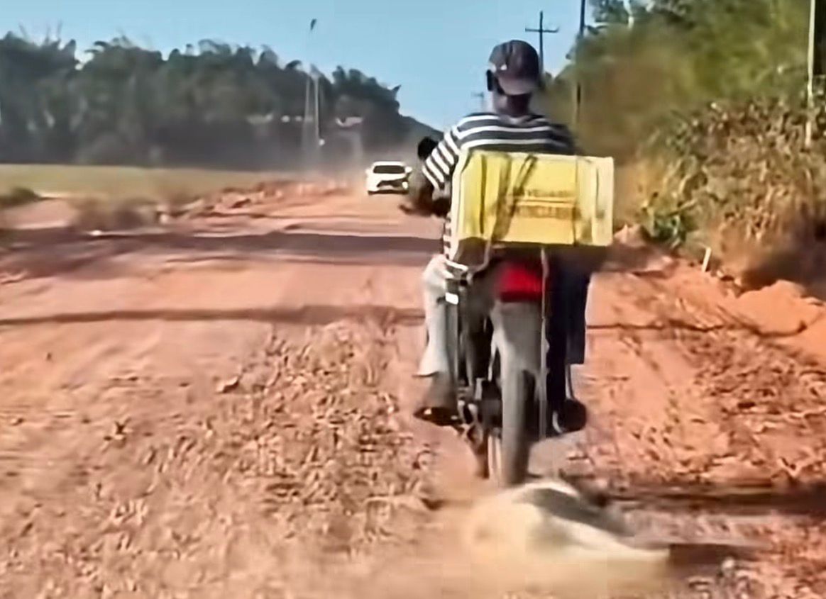 Cachorro é arrastado por motocicleta na PA-151, em Breu Branco, no Pará