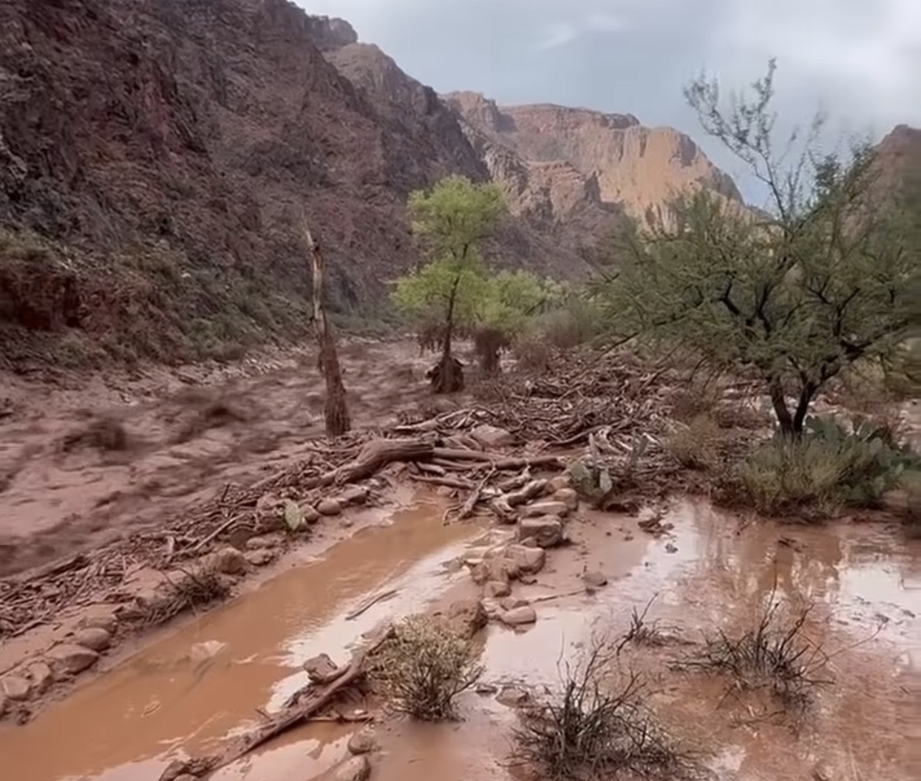 Enchente no Grand Canyon deixa um morto e 15  desaparecidos nos EUA - 