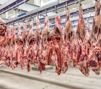 Imagem - União Europeia barra carnes, ovos e mel do Brasil por exigências sanitárias sobre antibióticos