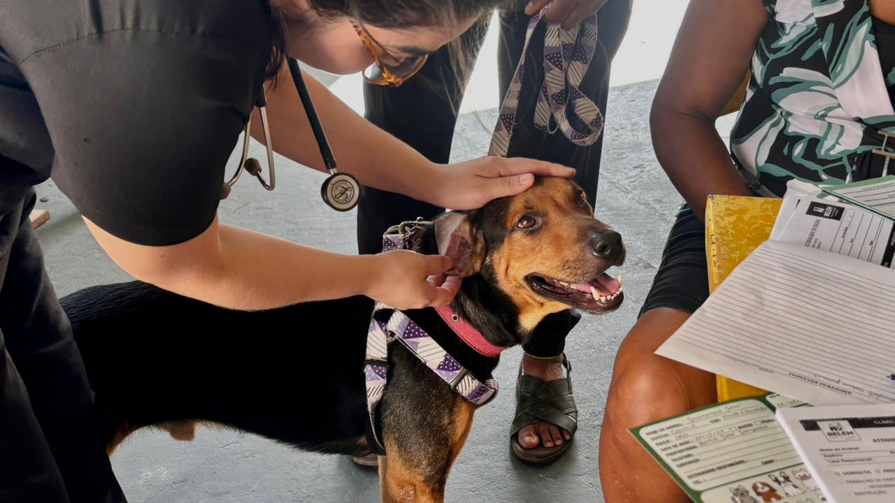 Belém Animal Itinerante leva atendimento veterinário gratuito ao Jurunas