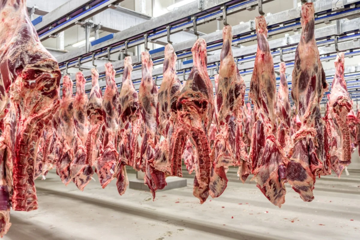 União Europeia barra carnes, ovos e mel do Brasil por exigências sanitárias sobre antibióticos

