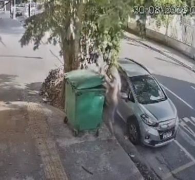 Imagem - Vídeo: Homem é flagrado furtando contêiner de lixo em Batista Campos, em Belém