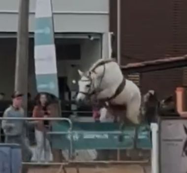 Imagem - Menina de 12 anos para cavalo desgovernado durante prova, no Rio Grande do Sul