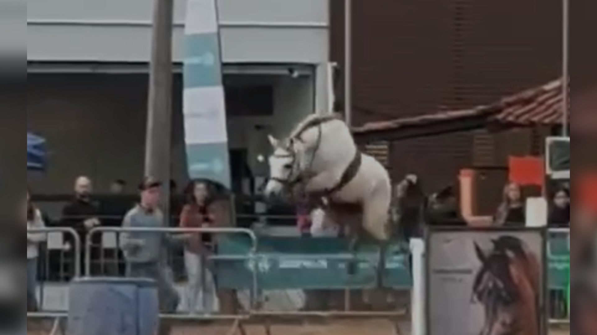 Kaila Jardim Boettcher segurou as rédeas do animal após outra competidora cair da sela e o cavalo disparar pela pista em alta velocidade.