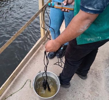 Imagem - Morte de peixes em Barcarena é investigada após prefeitura notificar empresa