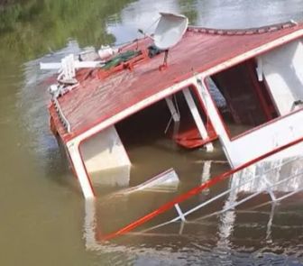 Imagem - Naufrágio de embarcação mata 60 búfalos no Marajó